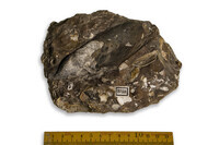 F 03758
          <br/>
          
          <br/>
          <em></em>